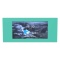 6.0" LCD Panel Kit for View 600 TG Mint Strawberry